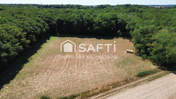 Propriété avec activités Canines, Félines et Ferme Pédagogique