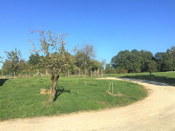 A vendre Propriété avec dépendances à 15 minutes de PERIGUEUX (24000)