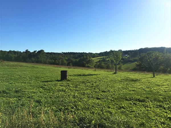 A vendre Propriété avec dépendances à 15 minutes de PERIGUEUX (24000)