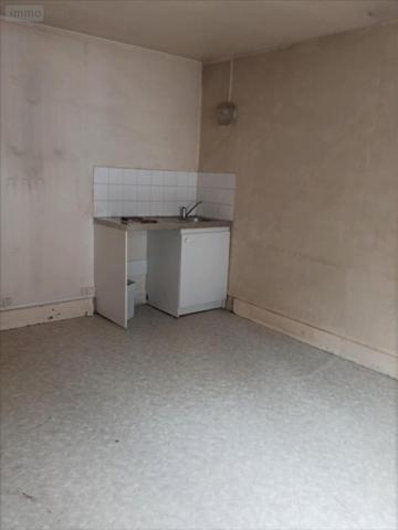 Maison à vendre à Châteauneuf-sur-Cher dans le Cher (18190), ref : 18034-336517