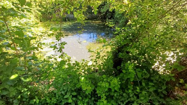Propriete/Gites 6 hectares, Proche de THENON (24)