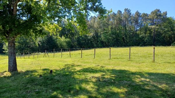 Propriete/Gites 6 hectares, Proche de THENON (24)