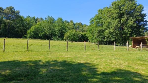 Propriete/Gites 6 hectares, Proche de THENON (24)