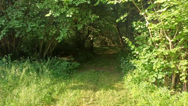 Propriete/Gites 6 hectares, Proche de THENON (24)