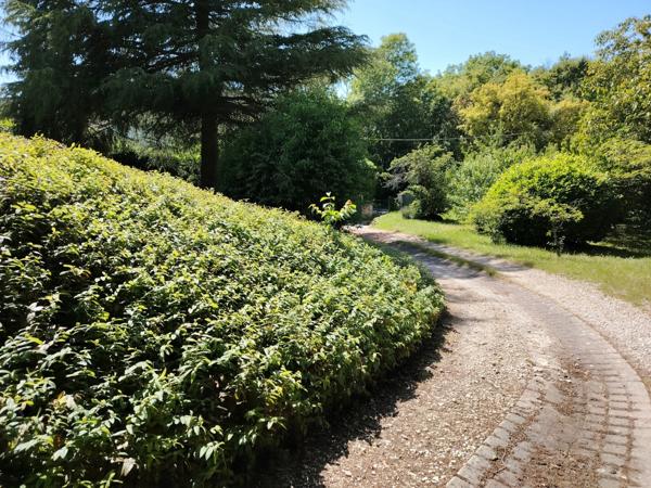 A vendre commune de Migné Auxances dans un environnement calme et verdoyant grande maison de plain pied de 180 m²