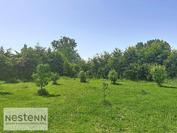Maison à vendre à Sallertaine - 4 pièces, 100.59 m², terrain 2800 m²
