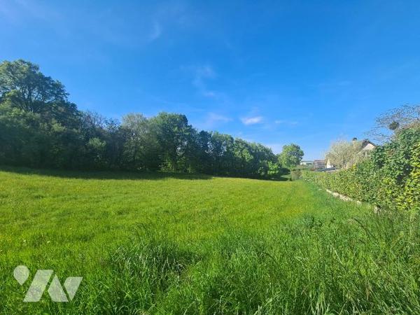 Très beau terrain constructible SAINT VIT