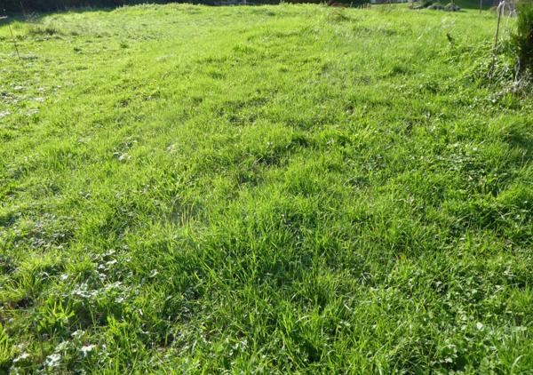 74500. EVIAN LES BAINS.TRES BEAU TERRAIN A BATIR DE 1,1 ha AVEC VUE LAC.VIABILITÉS EN BORDURE.