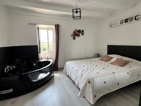 Typique Mas en pierre avec piscine et dépendances