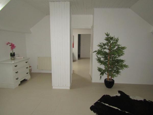 Très belle maison, 4 chambres, piscine, terrain 5600m²