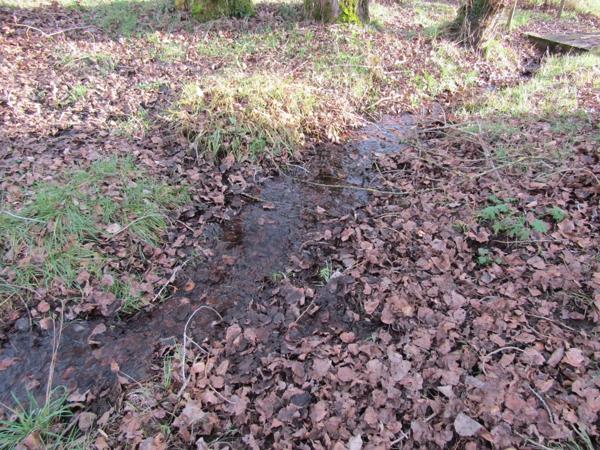 Très belle maison, 4 chambres, piscine, terrain 5600m²