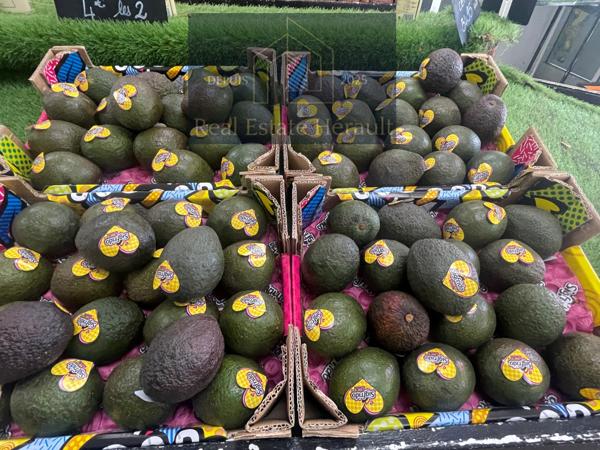 Prades-le-Lez (34730) À VENDRE : Primeur Fruits/Légumes Epicerie Alimentation générale Superette Cave à vins Superette Traiteur From