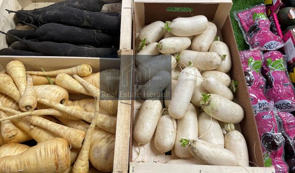 Prades-le-Lez (34730) À VENDRE : Primeur Fruits/Légumes Epicerie Alimentation générale Superette Cave à vins Superette Traiteur From