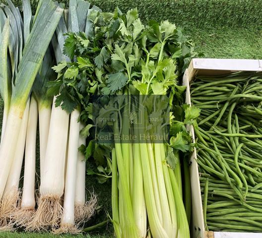 Prades-le-Lez (34730) À VENDRE : Primeur Fruits/Légumes Epicerie Alimentation générale Superette Cave à vins Superette Traiteur From