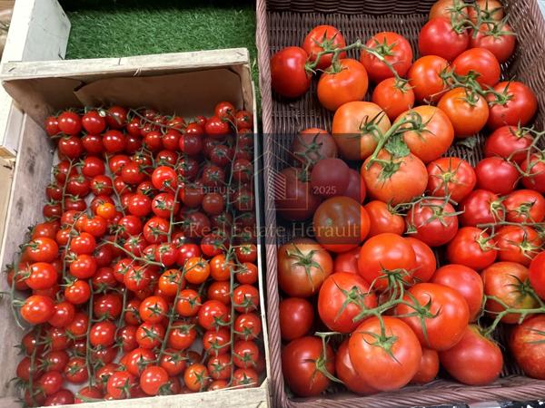 Prades-le-Lez (34730) À VENDRE : Primeur Fruits/Légumes Epicerie Alimentation générale Superette Cave à vins Superette Traiteur From