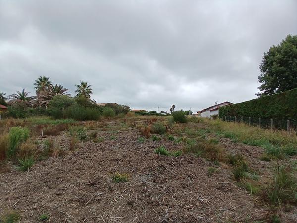 Terrain Bidart 570 m2