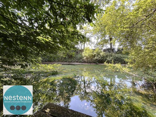 À vendre : Maison d'exception avec parc arboré et une belle façade de 40m au bord de l'eau