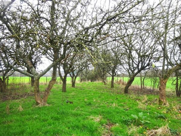 Maison à restaurer à vendre à Brunelles dans l'Eure-et-Loir (28400), ref : BRU 1037