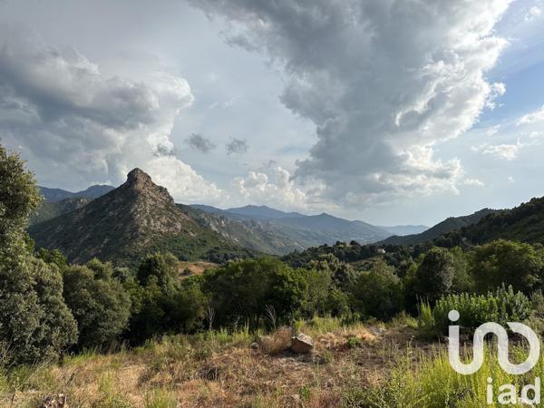 Terrain à vendre 9 455 m² Ocana