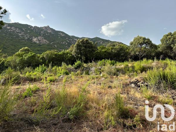 Terrain à vendre 9 455 m² Ocana