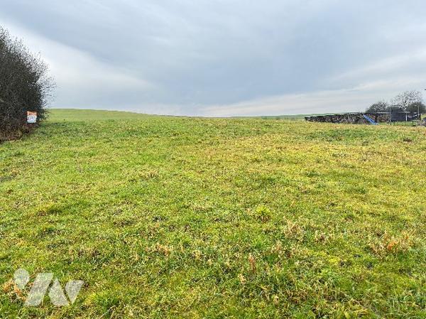 Terrain à bâtir non viabilisé libre à la vente à 15 minutes de VESOUL à VELLEFRIE.