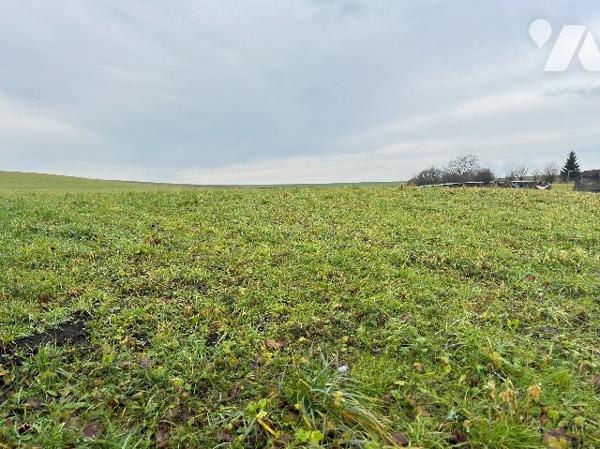Terrain à bâtir non viabilisé libre à la vente à 15 minutes de VESOUL à VELLEFRIE.