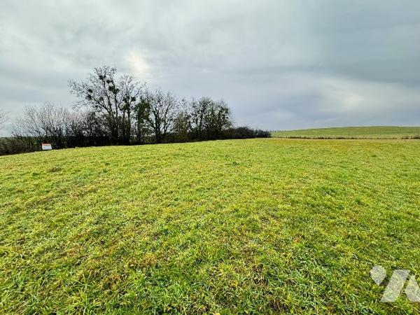 Terrain à bâtir non viabilisé libre à la vente à 15 minutes de VESOUL à VELLEFRIE.