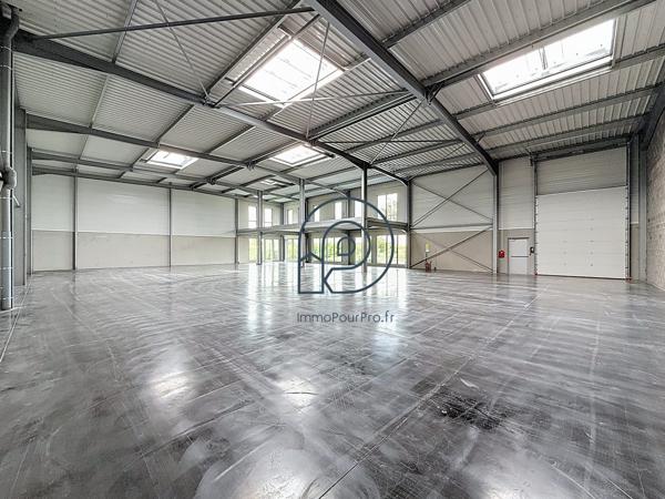 Avelin – 2 dernières cellules d' entrepot : 246 m² et 612 m² | À vendre