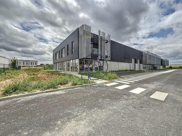 Avelin – 2 dernières cellules d' entrepot : 246 m² et 612 m² | À vendre