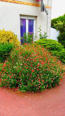 Sartrouville - L'Union - Appartement 6 pièces 159.62 m2 €379 900 ** - Référence 9534