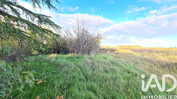 Terrain à vendre 2 390 m² Saint-Martin-la-Pallu