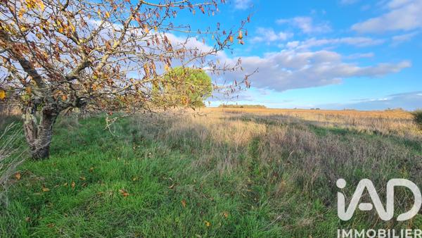 Terrain à vendre 2 390 m² Saint-Martin-la-Pallu