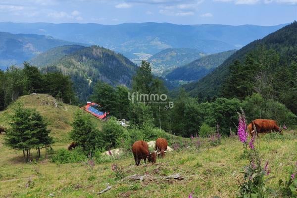 Superbe appartement hyper centre