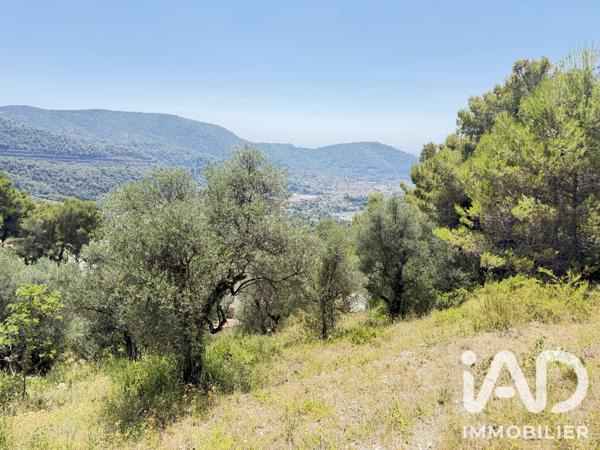 Terrain à vendre 2 492 m² Drap