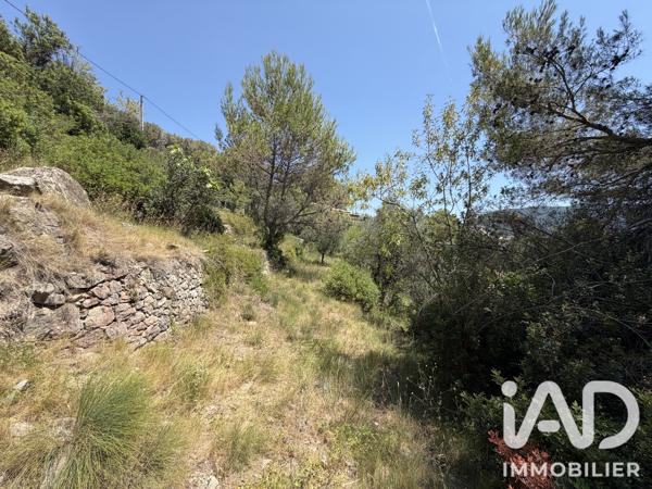 Terrain à vendre 2 492 m² Drap