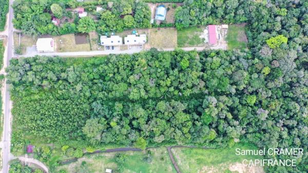 Dpt Guyane (973), à vendre SAINT LAURENT DU MARONI Terrain