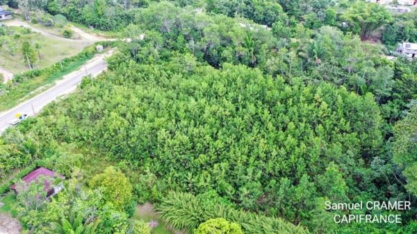 Dpt Guyane (973), à vendre SAINT LAURENT DU MARONI Terrain