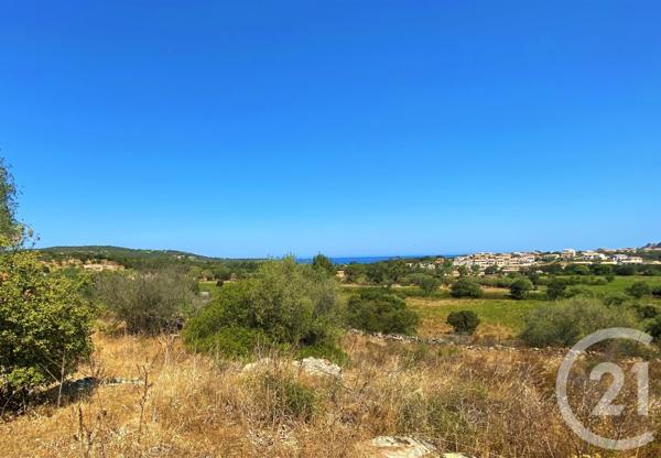 Terrain à vendre  5245 m2 BELGODERE - 202