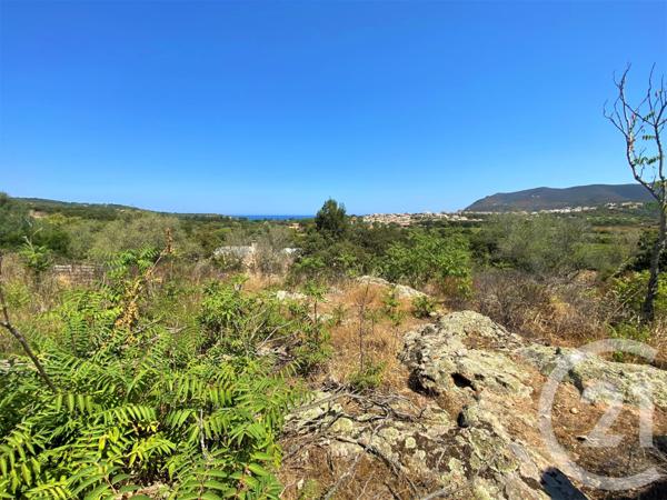 Terrain à vendre  5245 m2 BELGODERE - 202