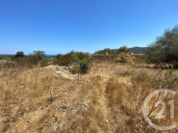 Terrain à vendre  5245 m2 BELGODERE - 202