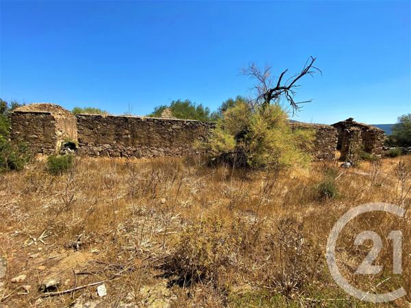 Terrain à vendre  5245 m2 BELGODERE - 202