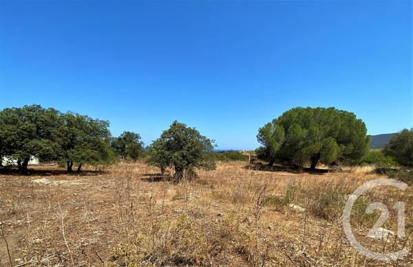 Terrain à vendre  5245 m2 BELGODERE - 202