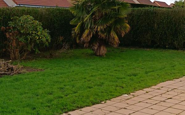 Maison à louer    5 pièces • 136 m2 Eu