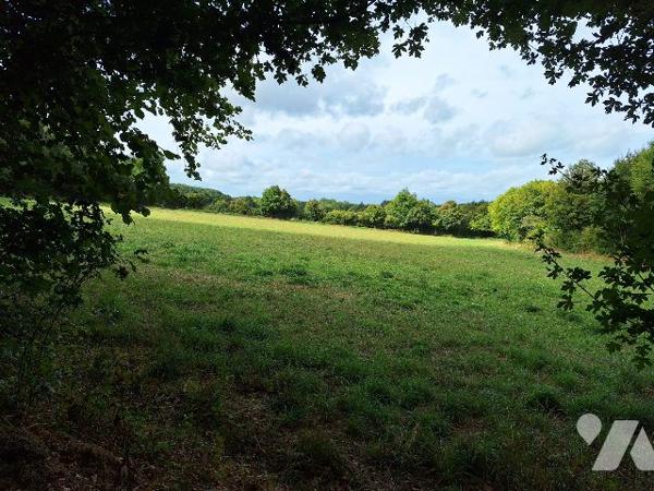 Maison isolée, IVOY-LE-PRE