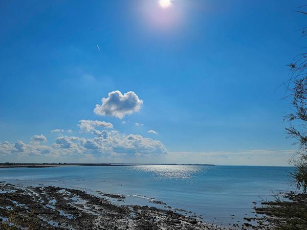 A VENDRE ! LA ROCHELLE Grand appartement lumineux Les Minimes  La rochelle