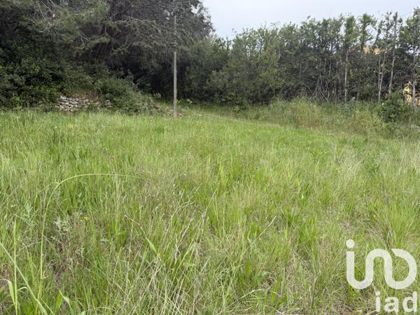 Terrain à vendre 2 778 m² Murviel-lès-Montpellier