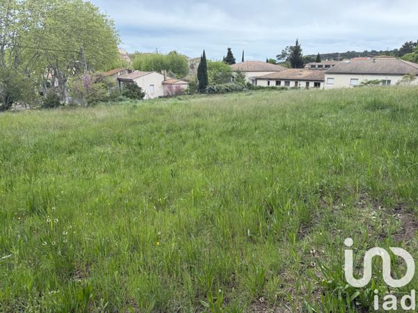 Terrain à vendre 2 778 m² Murviel-lès-Montpellier