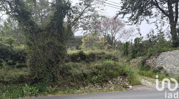 Terrain à vendre 2 778 m² Murviel-lès-Montpellier