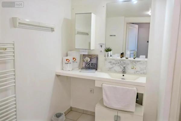 Achat - Appartement Saint-Doulchard 18230 2 pièces 45 m 2