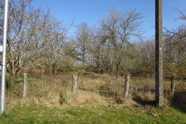 Terrain à vendre de 1 341,00 m² CHUELLES (45)